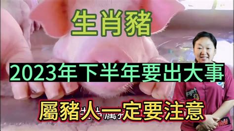 2023年生肖豬|2023生肖運勢｜屬豬桃花旺正財偏財皆有收穫？雲文子奇門遁甲20